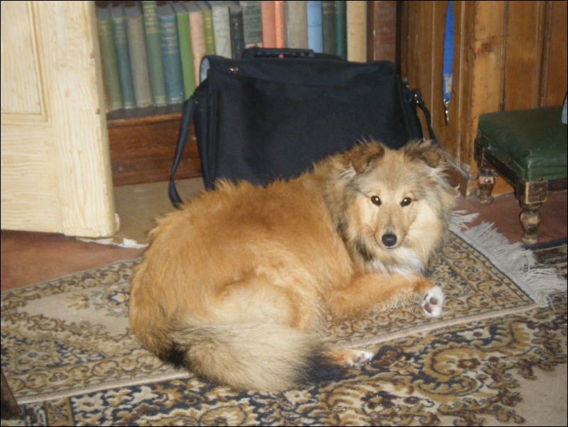 Pictures Weekend Away 506